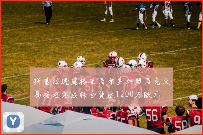 斯基拉透露格里马尔多加盟马竞交易接近完成转会费达1200万欧元